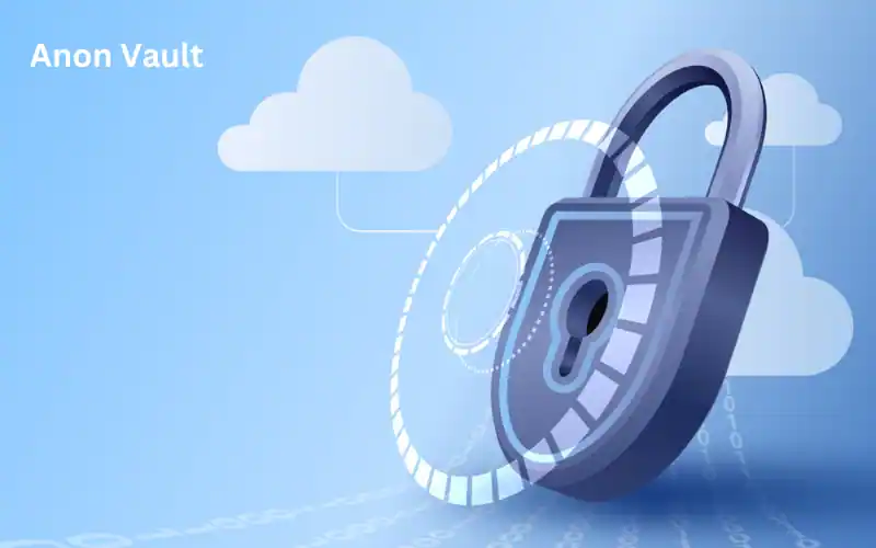 Exploring Anon Vault The Future of Private and Secure Digital Storage