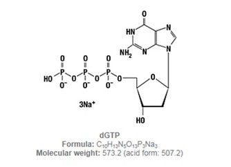 Nukleotidy The Building Blocks of Life Explained